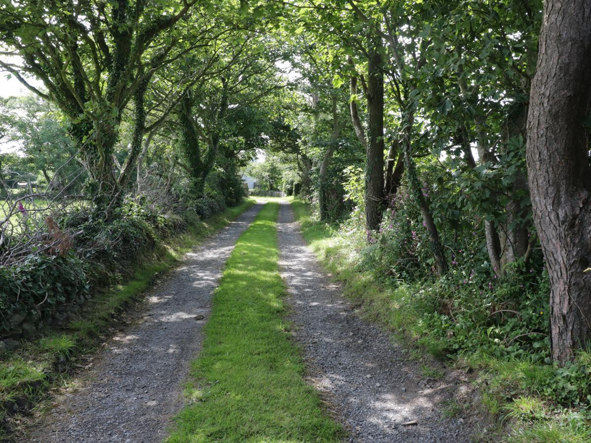 Bodegri Cottage Llanfflewyn Eksteriør billede